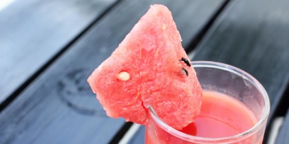 3. Cucurbitane Type Triterpene Glycoside