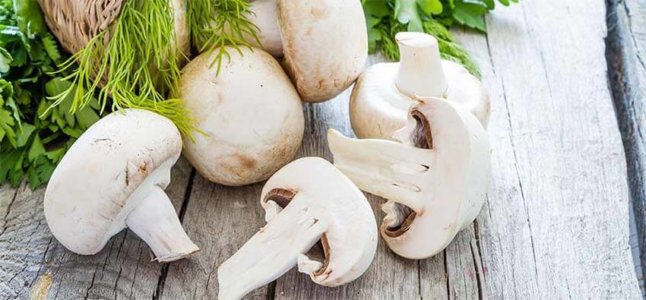 Are mushrooms fattening or good for weight loss? – Healthsomeness